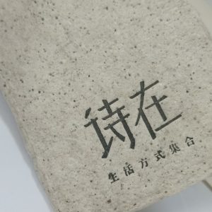 Update 2024 Custom Eco-friendly seed tag